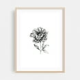 thumbnail image 2 of Peonia Flower - Drawing Line Art Black and White Floral Botanical Flowers Minimalist Nature Unframed Wall Art Print 24 x 36 inches, 2 of 16