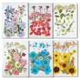 thumbnail image 1 of pitrice Dried Pressed Flower Handmade Decorative Dried Pressed Flower Artificial Flowers Dry Plant Resin Scrapbook Craft DIY Accessories Home Type 7, 1 of 9