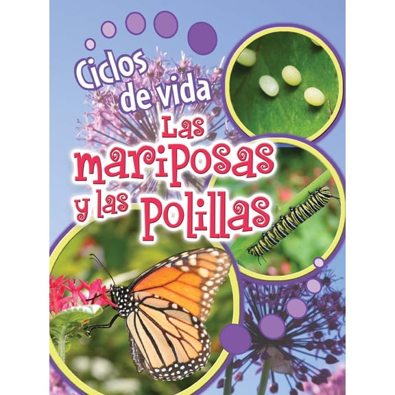 Pre-Owned Life Cycles: Ciclos de vida de las mariposas y las polillas : Butterflies and Moths (Paperback)