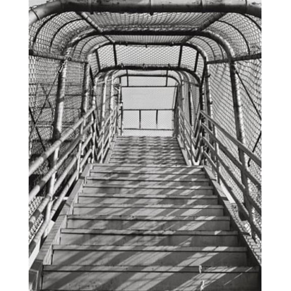 Posterazzi SAL25549892 Staircase Covered with a Metal Frame Poster Print - 18 x 24 in.
