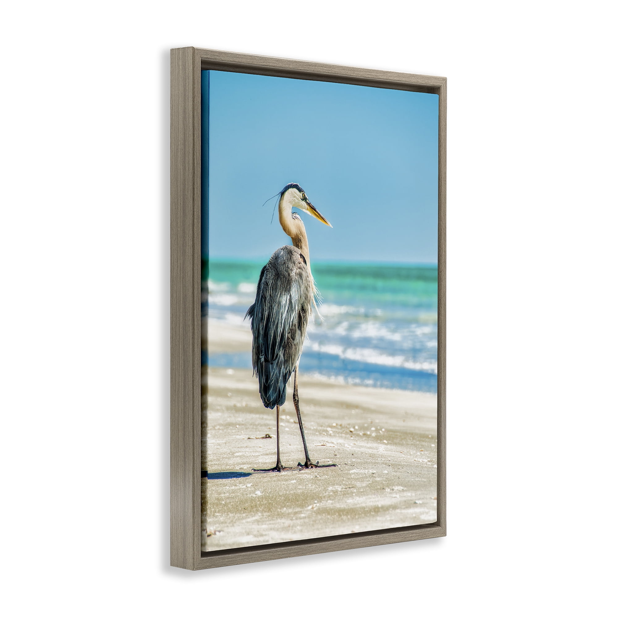 Stupell Industries Reflective Beach Bird Nautical & Beach Photography Brown Floater Framed Canvas Art Print Wall Art, 21 x 31