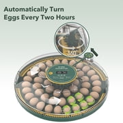 BN-LINK 52 Egg Incubator with Automatic Egg Turning and Temperature Control, Smart Egg Incubator with Humidity Display, LED Candler & Sink, Hatching Chicken Duck Quail Bird