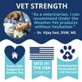 thumbnail image 5 of 3-in-1 Vital Colostrum Gel for Cats, 5 of 6