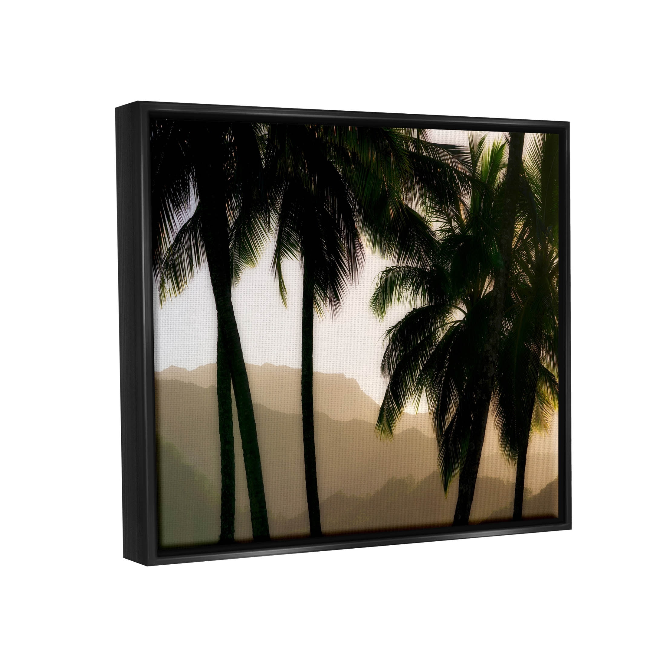 Stupell Industries Sunlit Palm Trees Mountain Peaks Photograph Jet Black Floating Framed Canvas Print Wall Art, Design by Dennis Frates
