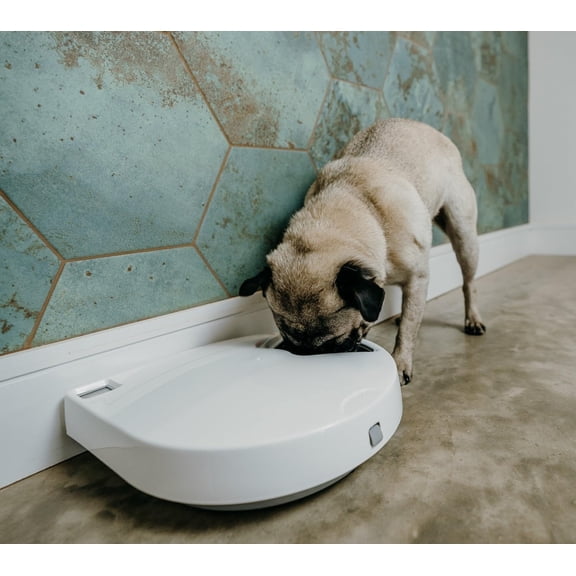 Automatic 5-Bowl Pet Feeder – Digital Timer-Controlled, 5 Meals Up to 0.73 lb Each, Wet & Dry Food, Includes Twin Ice Packs, Ideal for Cats & Small Dogs, White