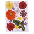 thumbnail image 1 of AMLESO Fleurs Séchées Pressées Multiples Décoration Florale DIY, 1 of 8