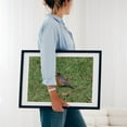 thumbnail image 4 of Robin in the Grass - Pennsylvania Photography Wildlife Bird Nature Animal Woodland Scenic Garden Black Framed Wall Art Print 24 x 36 inches, 4 of 8