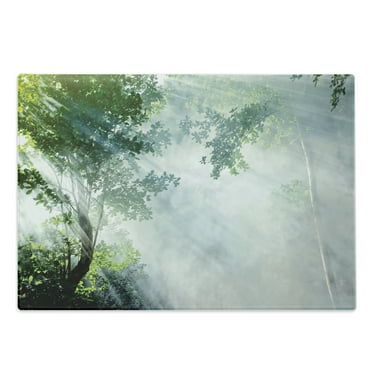 Rainforest Cutting Board, Sunbeam Between Shadows of Trees Idyllic Scenery of Solitude in Jungle Theme, Decorative Tempered Glass Cutting and Serving Board, Large Size, Green White, by Ambesonne