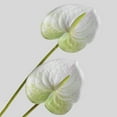 thumbnail image 7 of 1 Branch Artificial Flower Fresh-keeping Artistic 3D Printing Elegant Vivid Fake Anthurium Flower Photography Props, 7 of 7