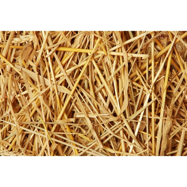 Double F Farms Premium Organic 100 Natural Straw for Animal Bedding