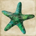 thumbnail image 2 of Grey, Jace 20x20 White Modern Wood Framed Museum Art Print Titled - Map Starfish, 2 of 4