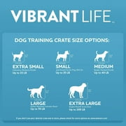 Vibrant Life Wire Dog Crate, Double-Door, Divider and Leak-Proof Tray, Metal, Foldable, Durable, Black, 42