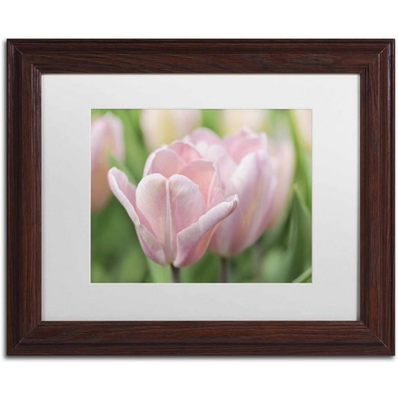 Trademark Fine Art 'Pink Tulip Baronesse' Canvas Art by Cora Niele, White Matte, Wood Frame