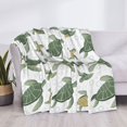 thumbnail image 3 of Fotbe Cute Turtle Manta de Franela con Estampado, Manta Ultrasuave para Cama, Sofá, Auto, Hipoalergénica y Antibolitas-40"x30", 3 of 6