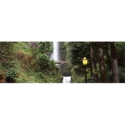 Panoramic Images  Waterfall in a forest Multnomah Falls Hood River Columbia River Gorge Multnomah County Oregon USA Poster Print by Panoramic Images - 36 x 12