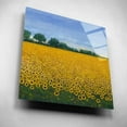 thumbnail image 2 of Epic Art 'Field of Sunflowers I' by Tim O'Toole, Acrylic Glass Wall Art, 12"x12", 2 of 7