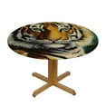 thumbnail image 3 of RUIYC Round Tablecloth in Jungle Round Fitted Tablecloth with Elastic Edge, Waterproof Oil Proof Table Cloth Wipe Clean Table Cover for Indoor and Outdoor Fits Medium, 3 of 7