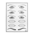 thumbnail image 4 of 5 x Piel de Práctica de de Ceja de Labios Herramienta de Entrenamiento para Principiantes Sunnimix Piel de práctica de cejas, 4 of 8
