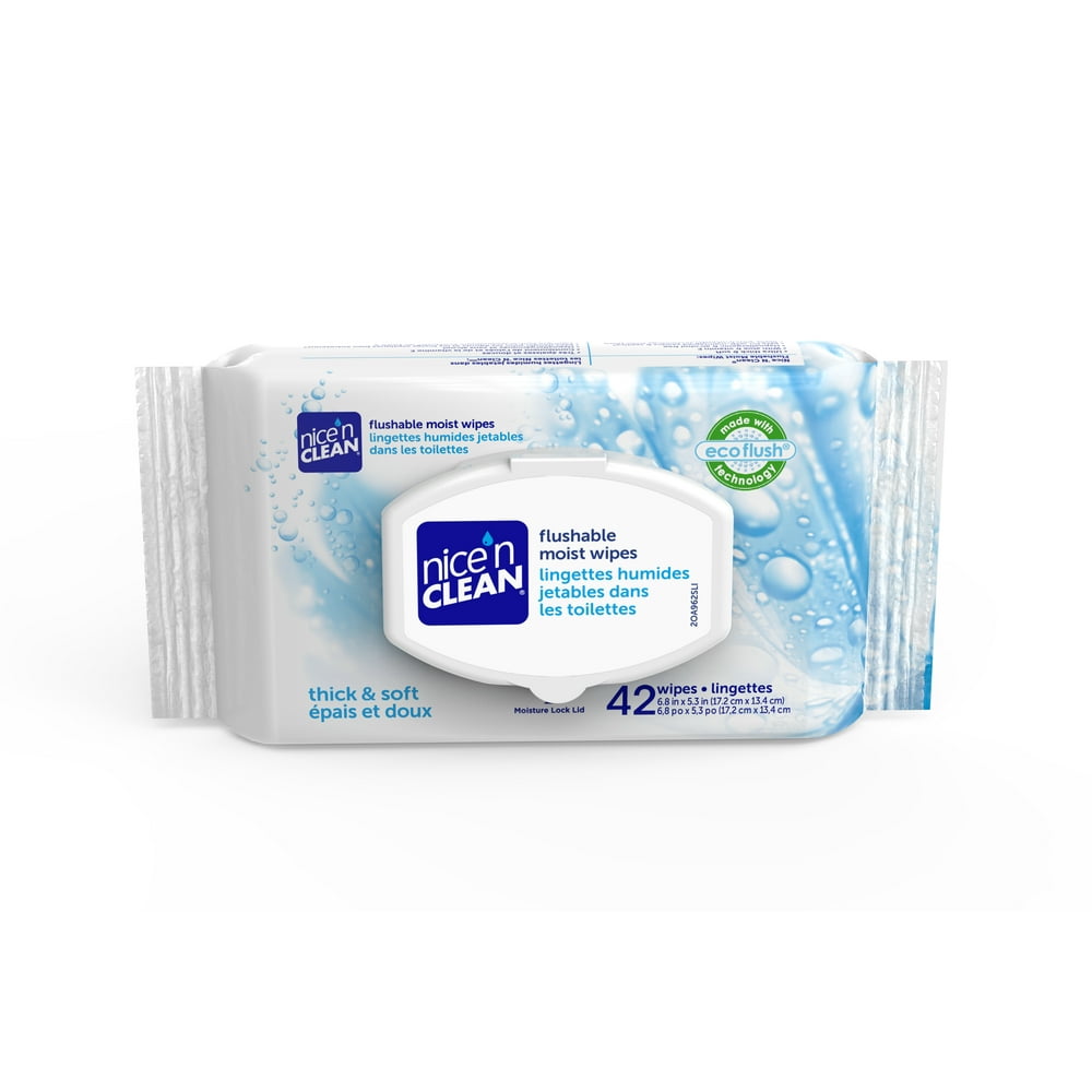 Nice'n Clean Flushable Moist Wipes, 42 count - Walmart.com - Walmart.com