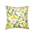 thumbnail image 1 of MKHSQHDG Today's Deals Decorative Soft Cozy Home Cover Zippered Machine Washable Square Throw Protector Living Room Bedroom Couch, 1 of 3