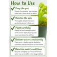 thumbnail image 4 of Gardenera Labs Sphagnum Moss Potting Mix for Carnivorous Plants, Moss and Perlite Blend for Potting Venus Fly Traps, Sarracenia, Pitcher Plants - 75% Sphagnum Moss + 25% Perlite - 2 Quart, 4 of 9