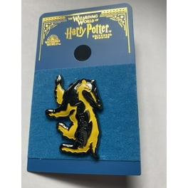 Wizarding world of Harry Potter - retired Undesirable #1 enamel store pin lenticular