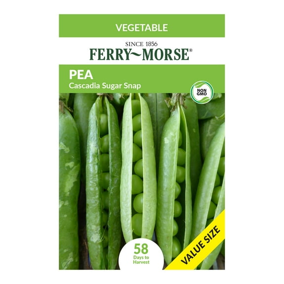 Ferry-Morse Economy 24G Pea Cascadia Sugar Snap Annual Vegetable Seeds, Full Sun