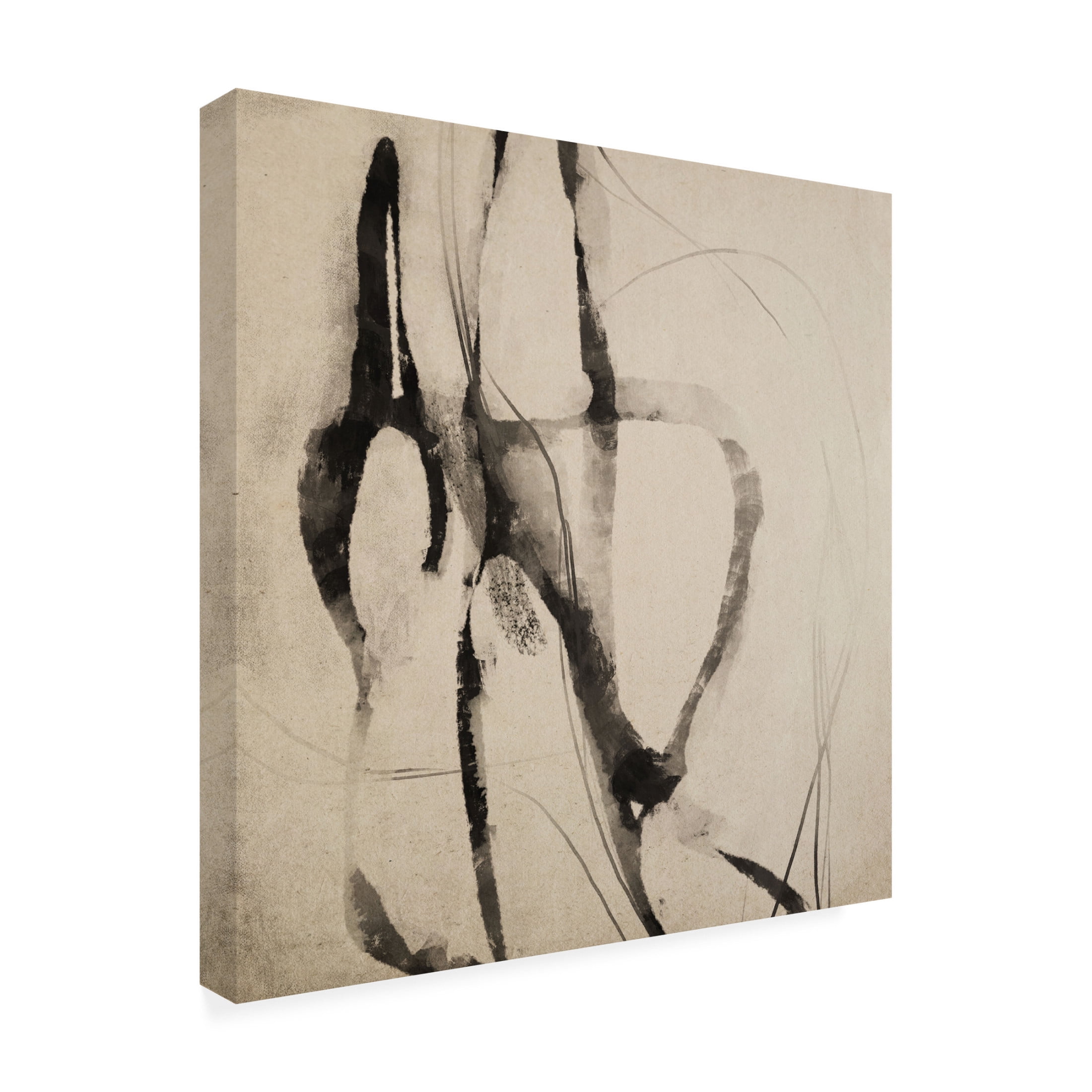 Trademark Fine Art Dan Hobday  Onisa Canvas Wall Art