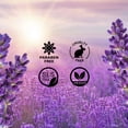 thumbnail image 4 of Leche corporal Wanderlust - Lavanda francesa de Nykaa Naturals para mujeres - Leche corporal de 6,76 oz, 4 of 6