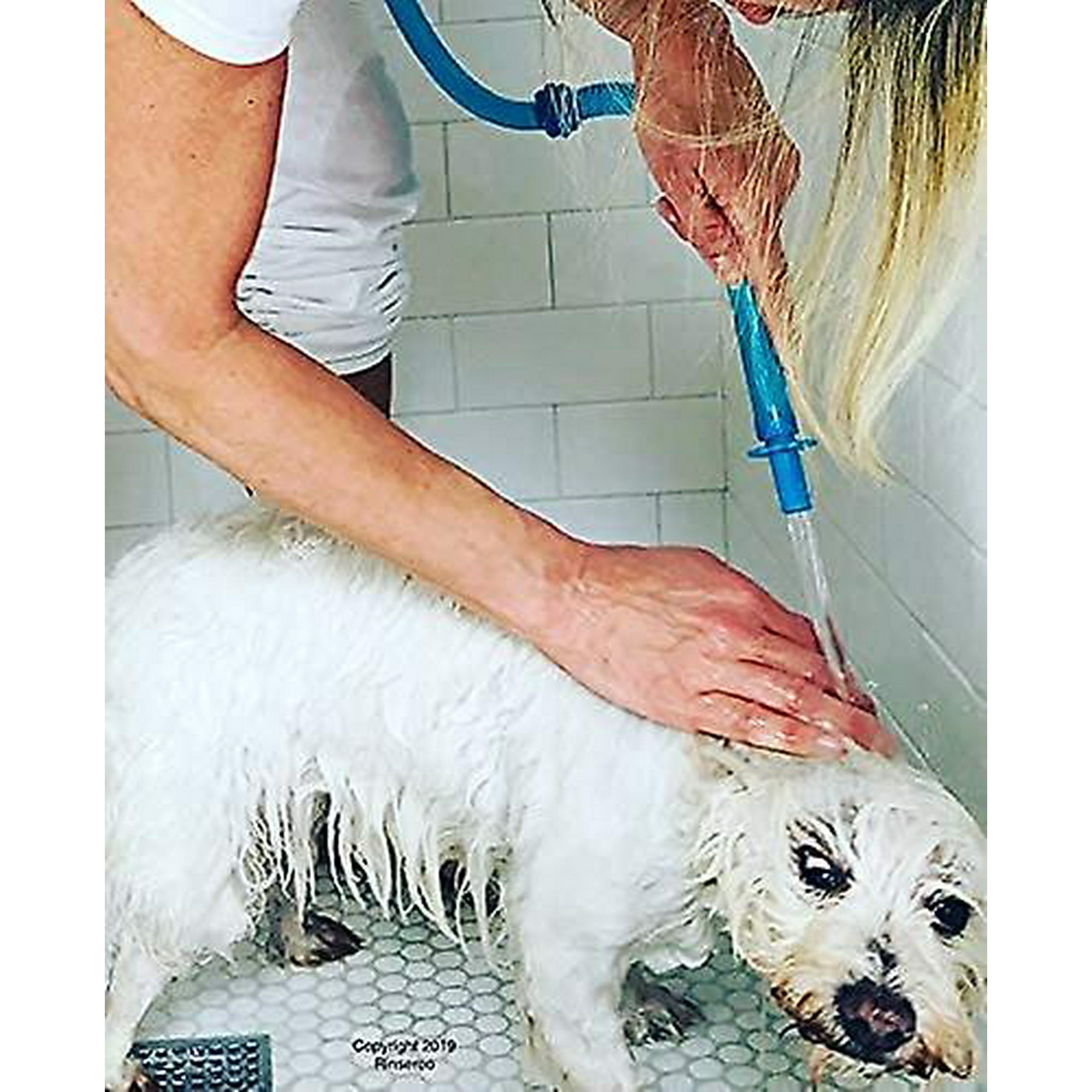 Slip on Dog Wash Hose Attachment Pet Bather For Showerhead And Sink. Handheld Shower Sprayer washer Walmart