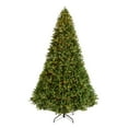 thumbnail image 2 of National Tree Company 12 ft. Pre-Lit Feel Real® Artificial Downswept Douglas® Fir Christmas Tree, Green, Clear Lights, Includes Stand, 2 of 8