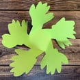 thumbnail image 4 of Lime Green 3-D Flower Pop Up Cards - 4" Wide, Set of 6, Birthday, Mother's Day, Easter, Greeting Card, Wedding Favors, Get Well, Thank You, 4 of 6