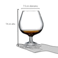 thumbnail image 4 of Copa Luminarc de Vidrio Cristalino para Brandy de 500 ml, 4 of 4