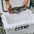 thumbnail image 6 of RTIC 20 Qt 30-Can Ultra-Tough Ice Chest Cooler, White, 6 of 9