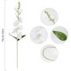 thumbnail image 4 of Flores artificiales de gladiolo blanco, flores de gladiolo de seda con tallos, para boda, hogar, fiesta, arreglos florales, centro de mesa (blanco), 4 of 4