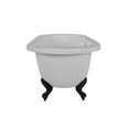 thumbnail image 2 of Windsor 60 Inch Acrylic Double Ended Clawfoot Tub - Continuous Roll Rim - No Faucet Drillings - Ball & Claw Feet, 2 of 2