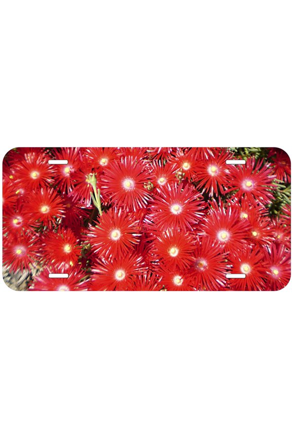 Red Pigface Novelty Car Auto License Plate