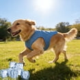 thumbnail image 5 of Vest Belt Evaporative Jacket Comfortable And Adjustable Breathable Jacket Suitable For Small And Medium Sized Cat Shirts Suitable For Walking, 5 of 5