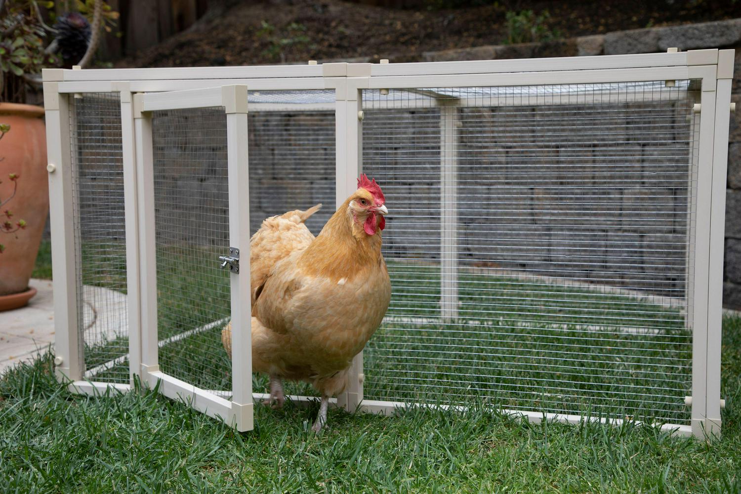 ecoFLEX Chicken Coop, Fontana Chicken Pen made with ECOFLEX