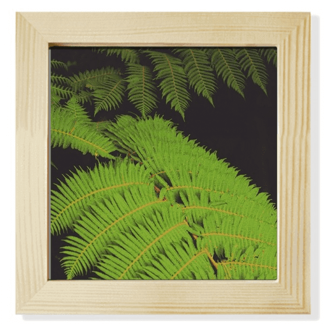 Naturaleza verde planta de leavest foto Pantalla de escritorio de pared de fotograma cuadrado
