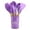 Purple, variant on Honeeladyy 12 Pcs Silicone Kitchen Utensils Set with Holders, Heat Proof, Non-Scratch, Cooking Spoons Set with Natural Wooden Handle, Kitchen Tools for Non-Stick Cookware, Purple