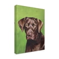 thumbnail image 2 of Trademark Fine Art 'Dog Portrait Chocolate' Canvas Art by Jill Sands, 2 of 4