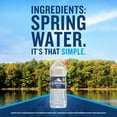 thumbnail image 3 of Ice Mountain Spring Water, 20 fl oz, Single Plastic Bottle, 3 of 5