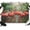 Pink Green, variant on 7x5ft Photo Backdrop, Coastal Flamingo Soft Polyester Backdrop Curtains Photography Backdrops, Summer Tropical Palm Tree Brushed Background for Photoshoots Studio Video Portrait Parties