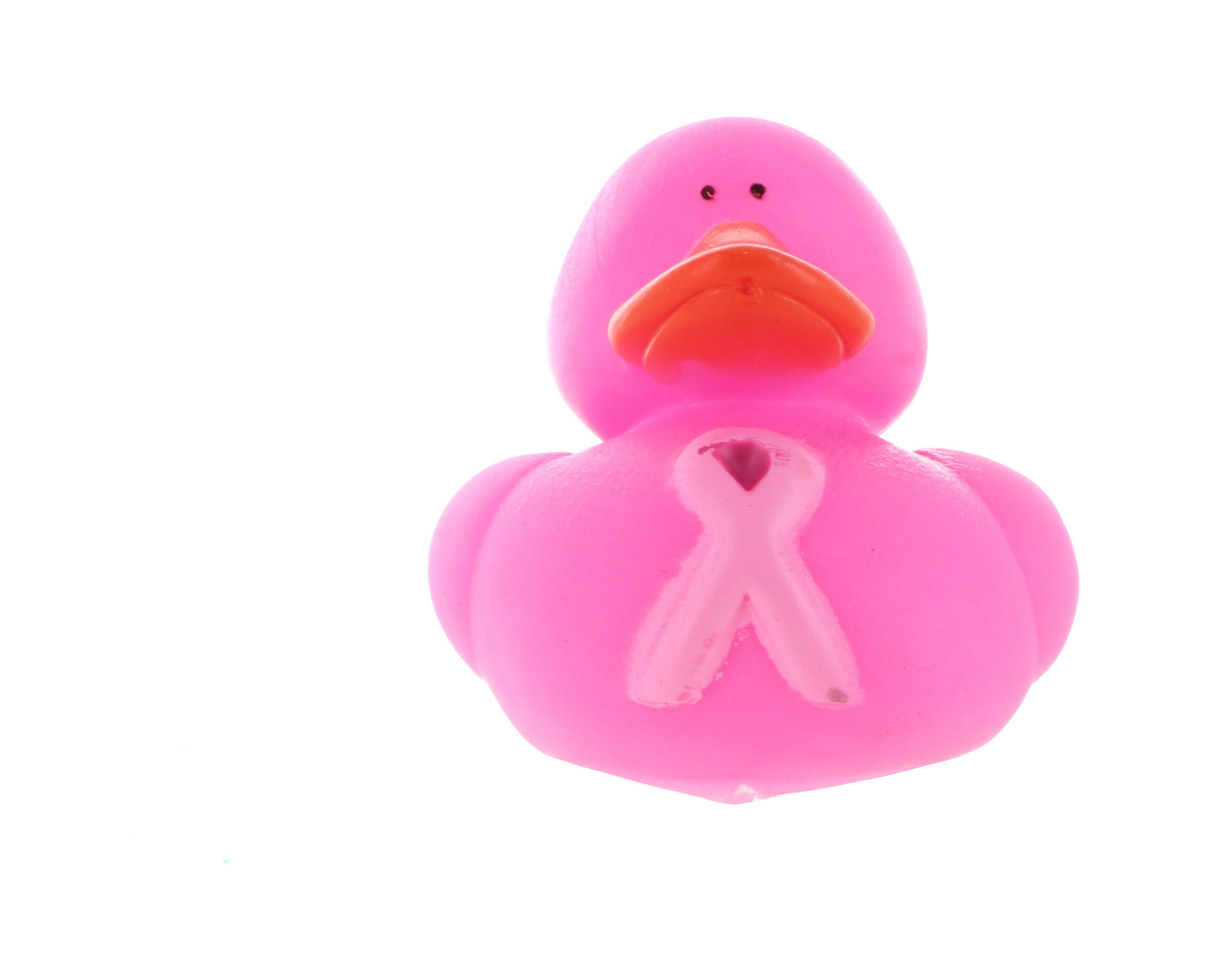 Pink Ducks: Breast Cancer Awareness