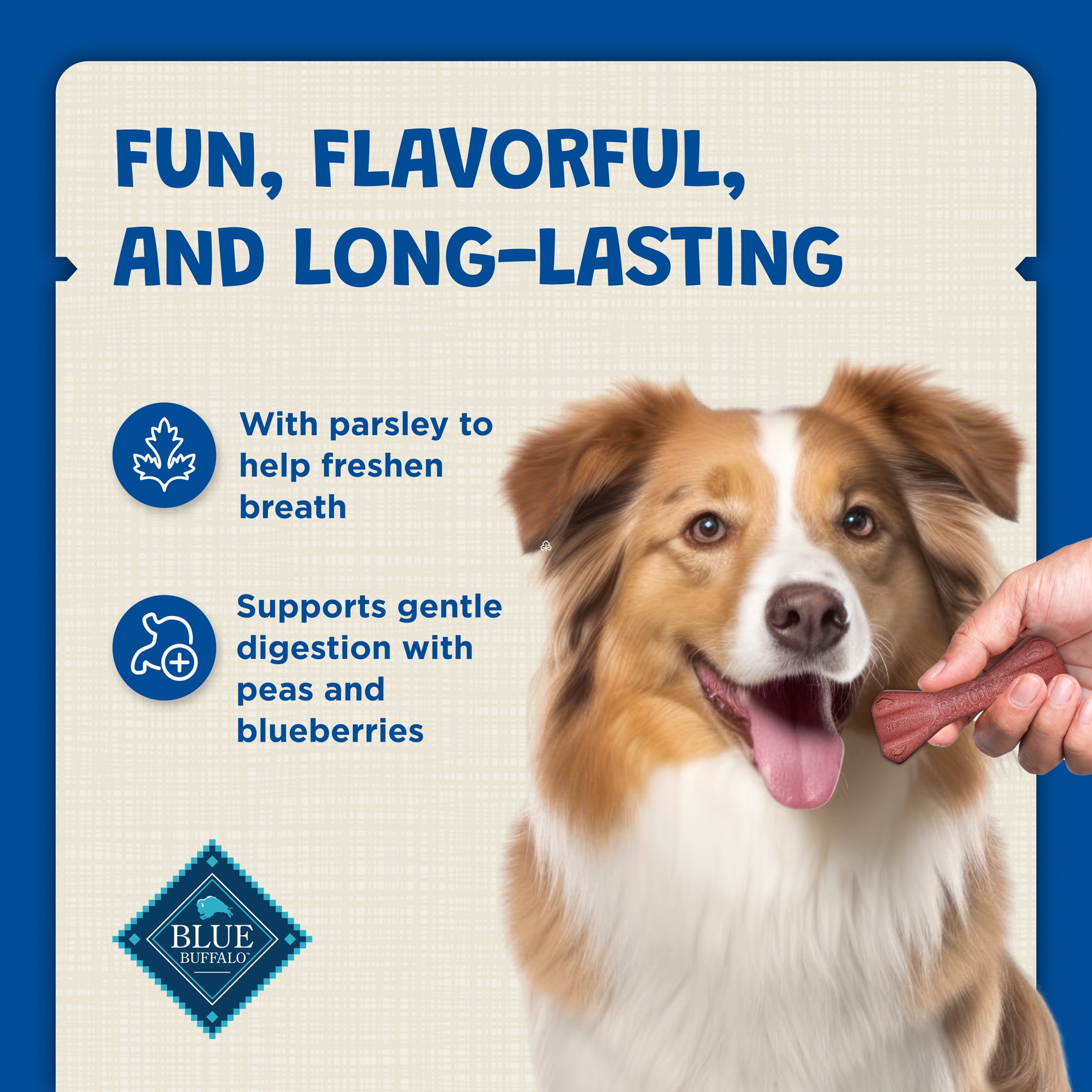 Blue Buffalo Dental Bones Small Natural Dental Chew Dog Treats, 12-oz. Bag