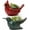 CC5-Red & Rreen, variant on Cardinal Bird Succulent Planter – Red Resin Cardinal Outdoor Decor Planter – Decorative Animal Flower Pot for Garden, Patio, Balcony – Gift for Bird Lovers (1PC)