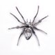 thumbnail image 5 of Broche de cristal de Animal Vintage Hugo pierna larga joyería regalo, 5 of 10