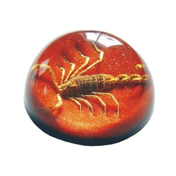 REALBUG 2 5 Black Scorpion Dome Paperweight Red