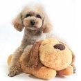 thumbnail image 2 of Puppy Toy With Heartbeat Dog Calming Behavioral Training Toy Sleeping, 2 of 4